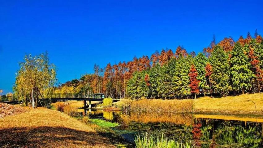 融創公館房價_融創公館樓盤_融創公館系列定位