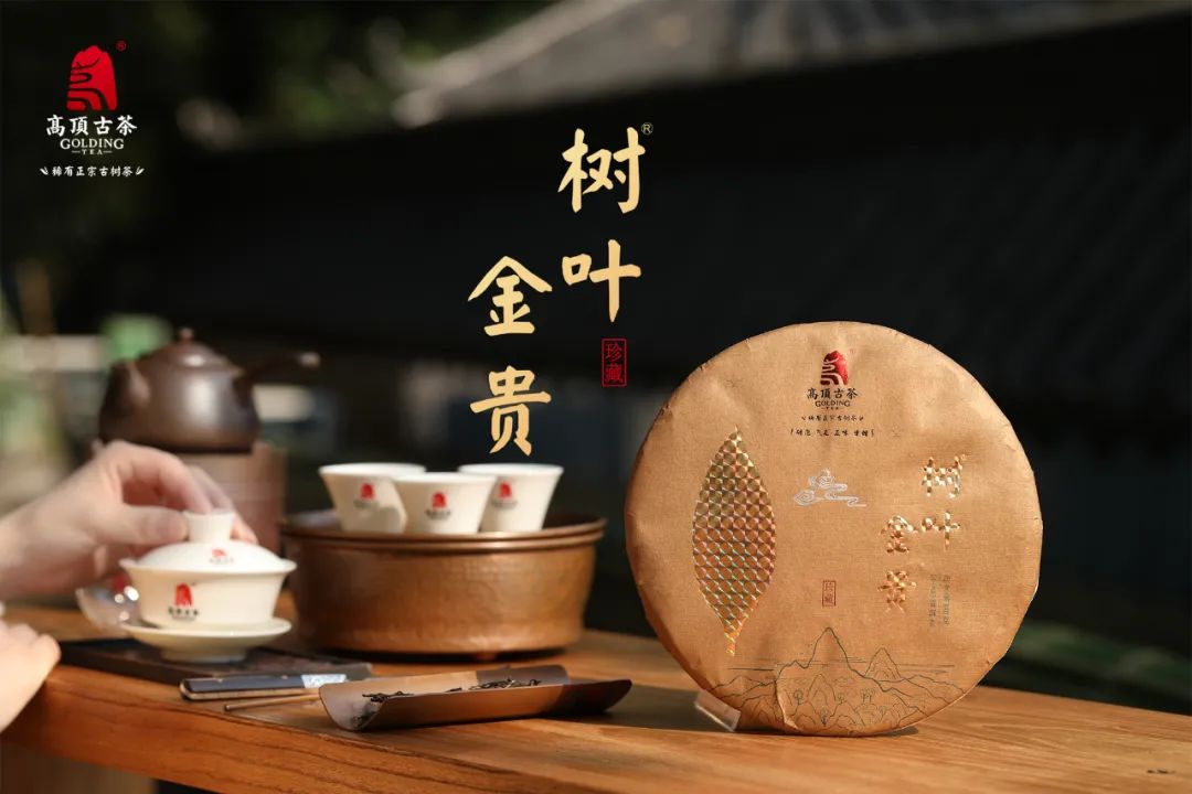 樹葉黃金耳環圖片_樹葉黃金分割_黃金樹葉