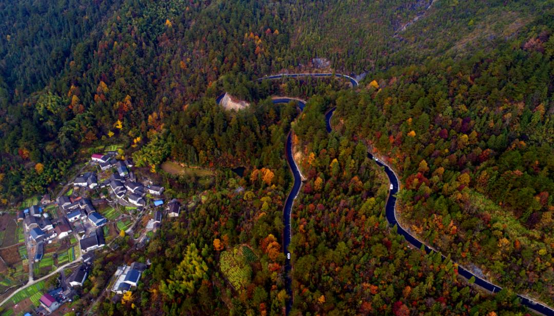 岳西游玩攻略_安徽秋色景點推薦_安徽秋天賞秋攻略