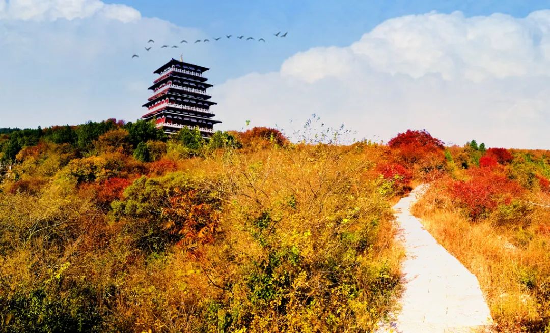 安徽秋天賞秋攻略_安徽秋色景點推薦_岳西游玩攻略