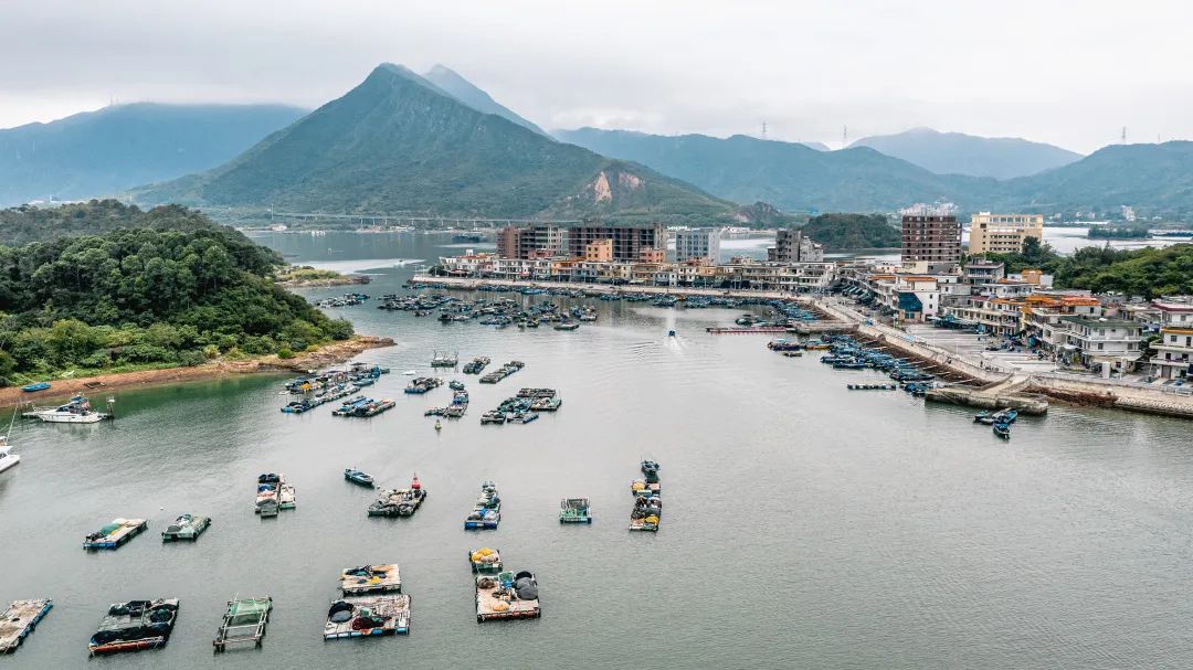 惠州海島旅游_惠州鹽洲島游玩攻略_三角洲島旅游攻略