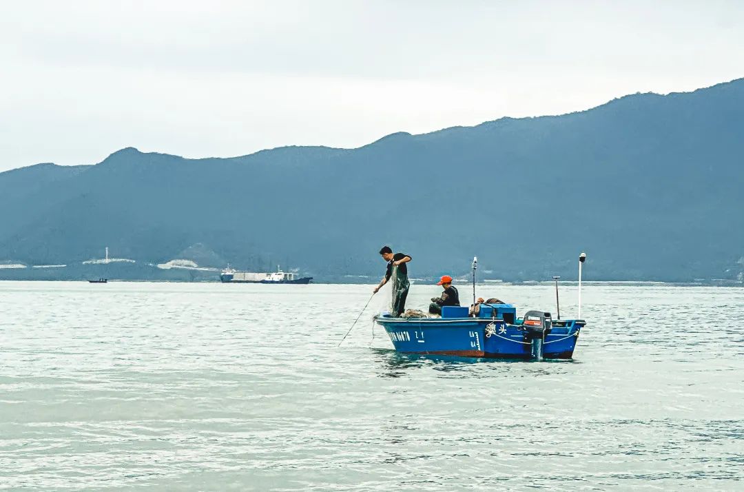 惠州鹽洲島游玩攻略_三角洲島旅游攻略_惠州海島旅游